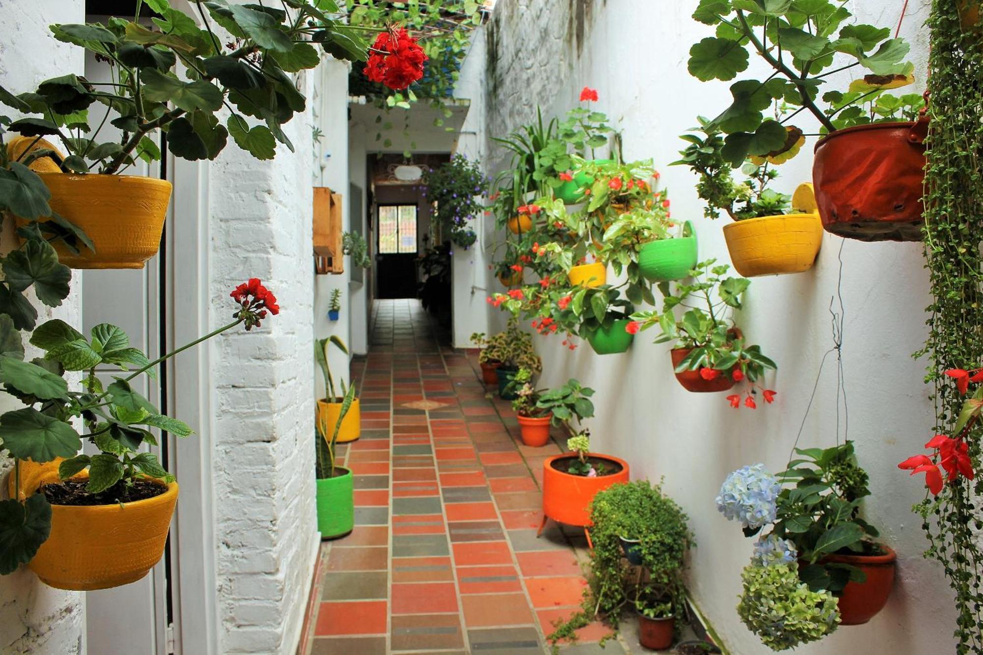 Hospedaje Los Capuchinos Socorro Εξωτερικό φωτογραφία
